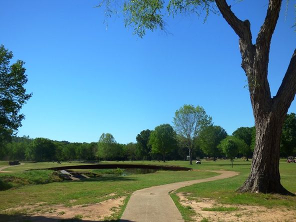 95 CR 2100, Daingerfield, TX 75638